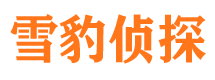 凌海找人公司